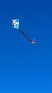 What’s your reaction to a flying kite?