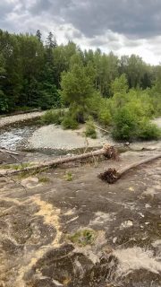 Bridge top, Parksville, BC. A last minute idea is part of a great adventure. #exploring #hiking #nature